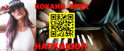 крисы Кунгур