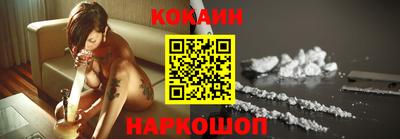 крисы Кунгур