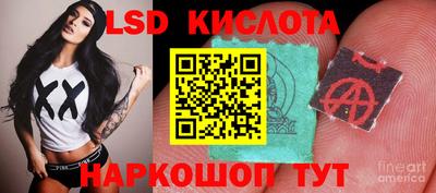 крисы Кунгур