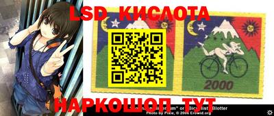 крисы Кунгур