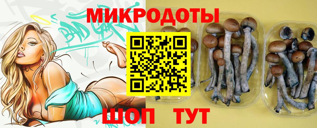 Кизилюрт  Галлюциногенные грибы прущие грибы  Вход с VPN 